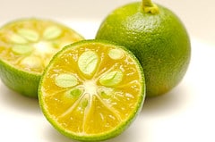 citrus fruit juicer post image